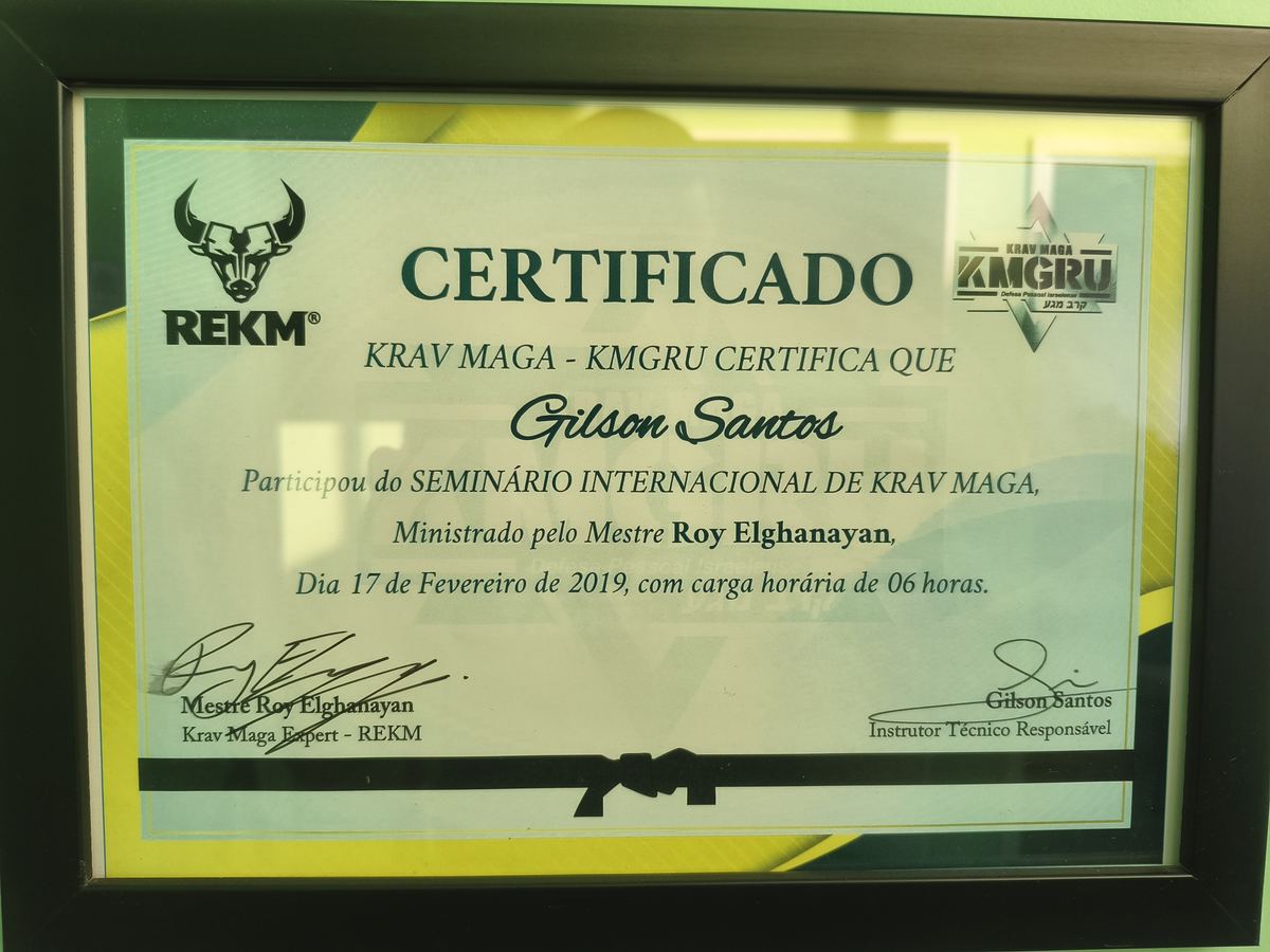 Certificado seminário Roy Elghanayan